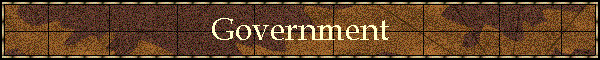 Government