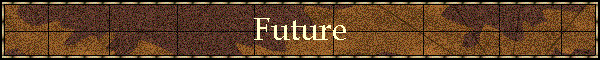 Future