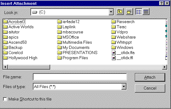 wpe10.gif (38030 bytes)