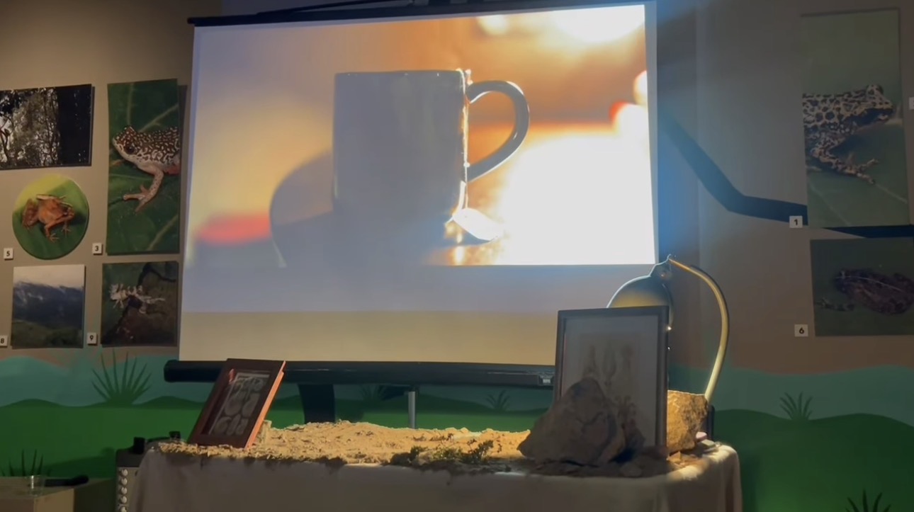 The Online MFA in Creative Writing 