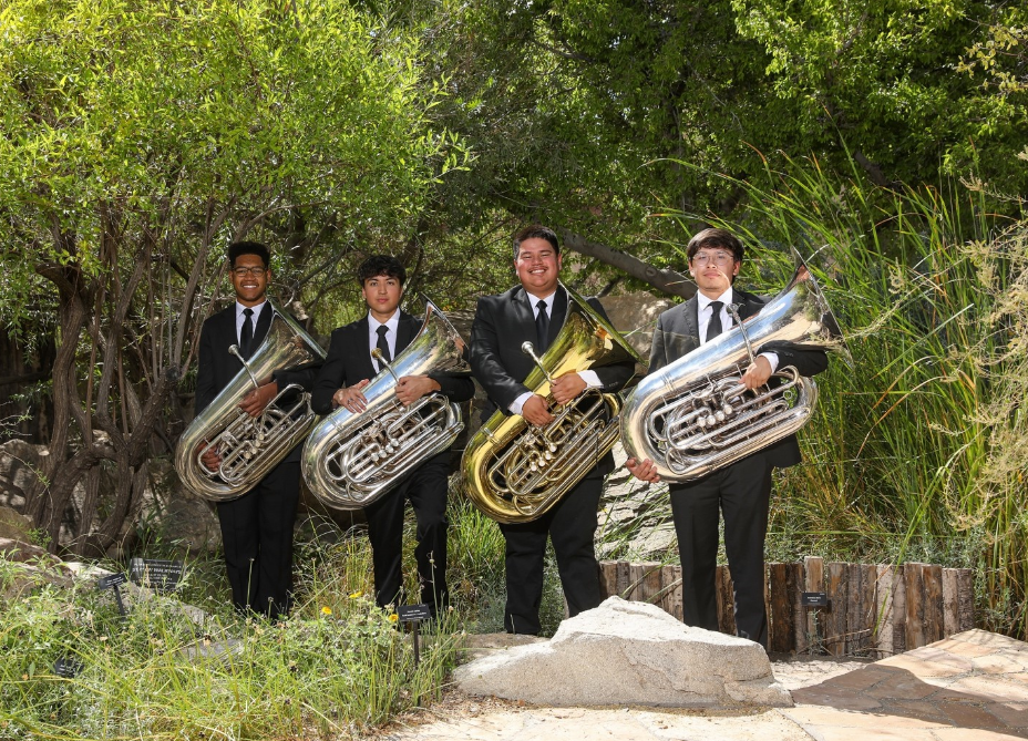 tubas
