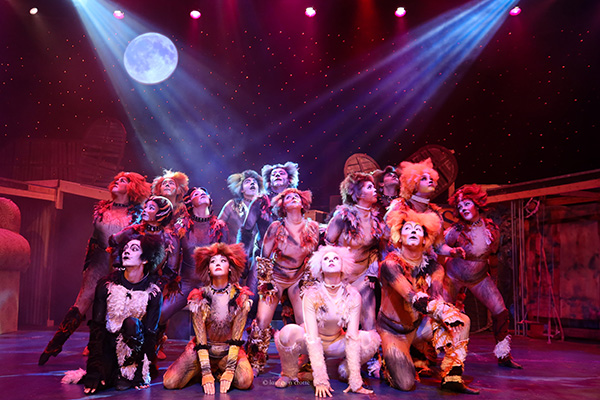 The Cast of The Dinner Theatre production of Cats