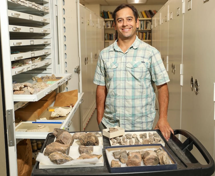 Jason W. Ricketts, Ph.D., associate professor in The University of Texas at El Paso’s Department of Earth, Environmental and Resource Sciences, discovered fossils – identified as belonging to the dinosaur Tenontosaurus – while conducting unrelated fieldwork at Indio Mountains Research Station, a UTEP-owned natural laboratory near Van Horn, Texas. 