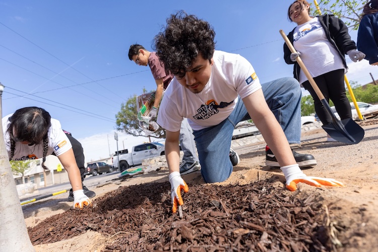 Alejandro Perea, a junior computer engineering major in the College of Engineering, adds mulch to a recently planted tree at a park in the Segundo Barrio neighborhood of South El Paso He was among more than 600 volunteers affiliated with the University who worked on community projects across the El Paso area Saturday, April 4, 2026, during UTEP’s annual service day, Project MOVE (Miner Opportunities for Volunteer Experiences).  
