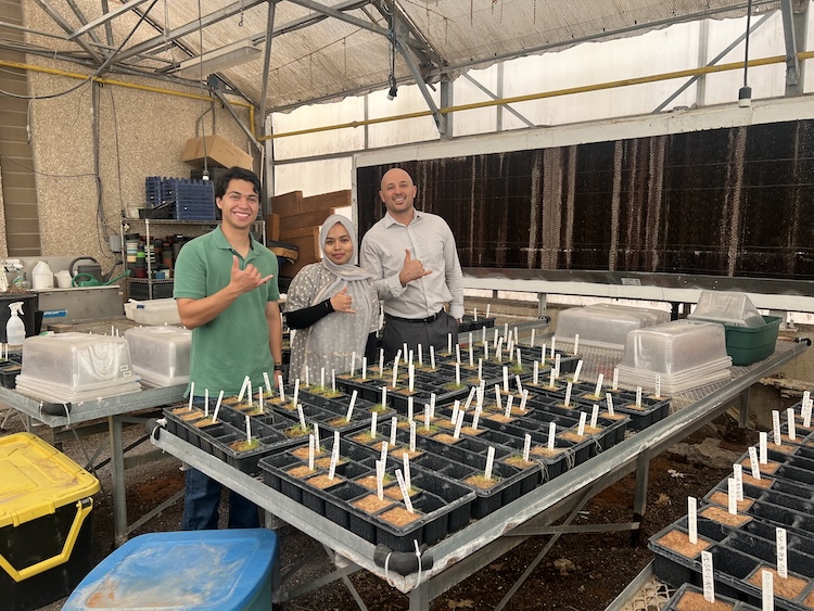 Hamidreza Sharifan, Ph.D. (right), an assistant professor of chemistry at UTEP, served as the corresponding author of a study that found a low-dose leaf spray combining manganese oxide nanoparticles and chitosan could give farmers around the world a practical new tool to keep growing tomatoes on land that salt has rendered increasingly unproductive. The research team also included doctoral student Nusrat Easmin (center) and Luis Salmeron Covarrubias, a graduate student in environmental engineering (left).  