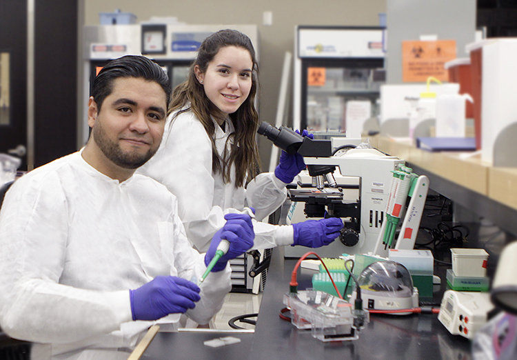 UTEP's Clinical Laboratory Science program prepares students such as Efren Narvaez, sitting, and Brenda Baca, standing, for careers in clinical and forensic laboratories. Photo: Laura Trejo/UTEP Communications 