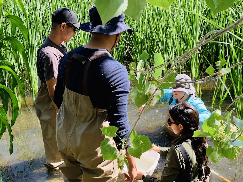 The University of Texas at El Paso and EPPC have had a successful partnership with the STEMGrow Program over the past four years. One of the more successful components of the STEMGrow program it’s summer biology bridge program which has had to make adjustments to its program due to the ongoing COVID-19 pandemic. Photo features students in the 2019 summer biology bridge program. Photo courtesy of Helen Geller, STEMGrow Program Manager. 