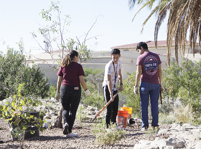 UTEP has earned its Tree Campus USA designation from the Arbor Day Foundation for the third straight year, validating UTEP’s continuous efforts to be a sustainable green space. Photo: UTEP Communications 