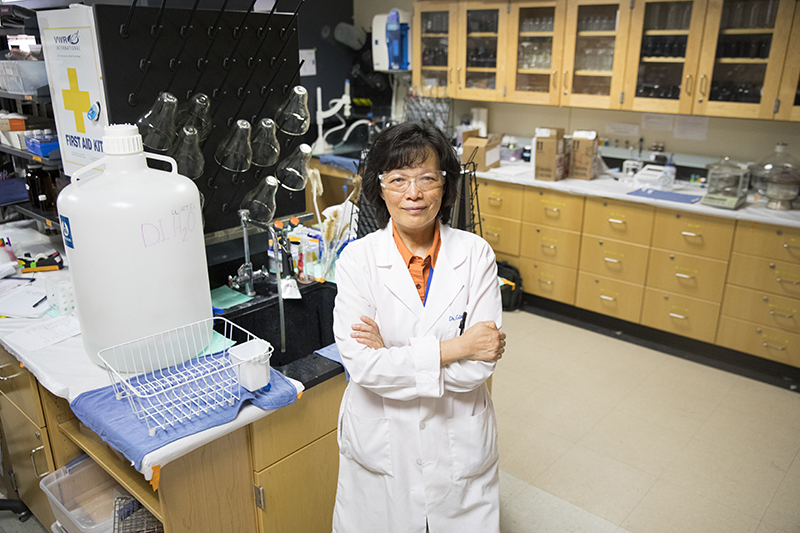 Wen-Yee Lee, Ph.D., associate professor of chemistry at The University of Texas at El Paso, has developed an affordable early screening test for prostate cancer. The test uses a small urine sample and, in the future, could be developed as a kit similar to the home pregnancy test. Photo: Ivan Pierre Aguirre / UTEP Communications 
