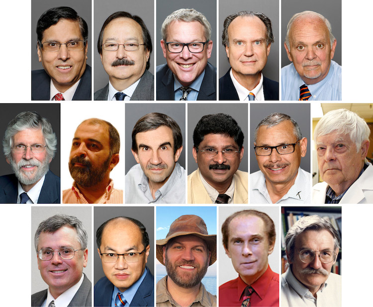 Sixteen current and past faculty members from The University of Texas at El Paso were included in a ranking of the world's most cited researchers and those who are top 2% within their specialty areas, according to a study published in the PLOS Biology Journal in October 2020. The researchers that were included in the ranking are, top row, from left, Devesh Misra, Ph.D., College of Engineering; Jorge Gardea-Torresdey, Ph.D., College of Science; Mark Pederson, Ph.D., College of Science; James Kubicki, Ph.D., College of Science; Russell Chianelli, Ph.D., College of Science; middle row, from left, Luis Echegoyen, Ph.D., College of Science; Mohamed Khamsi, Ph.D., College of Science; Vladik Kreinovich, Ph.D., College of Engineering; Chintalapalle Ramana, Ph.D., College of Engineering; Jose Peralta-Videa, Ph.D., College of Science; Douglas Watts, Ph.D., College of Science; bottom row, from left, Ryan Wicker, Ph.D., College of Engineering; Ruey (Kelvin) Cheu, Ph.D., College of Engineering; Eli Greenbaum, Ph.D., College of Science; Lawrence E. Murr, Ph.D., Professor Emeritus, College of Engineering; William C. Herndon, Ph.D., Professor Emeritus, College of Science (deceased).  