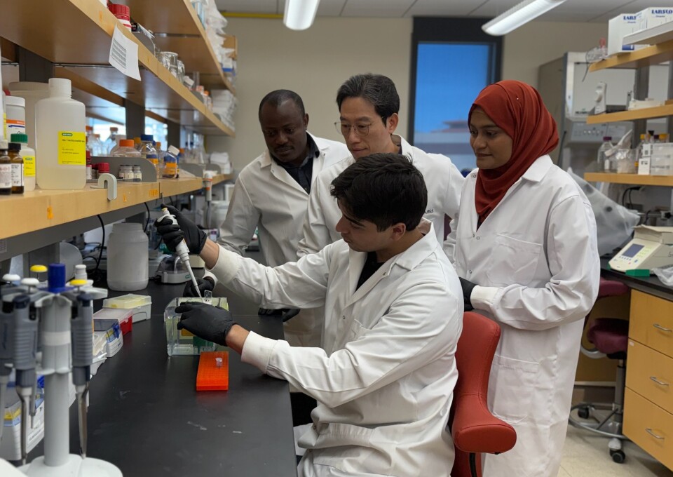 Professor Earns Competitive Cancer Research Grant