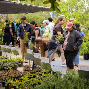 Spruce Up Garden at Fall 2026 FloraFest 