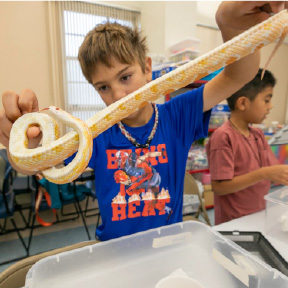 Dont miss Fall Courses 