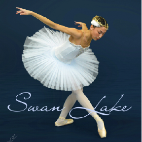 Swan Lake Returns for Second Year