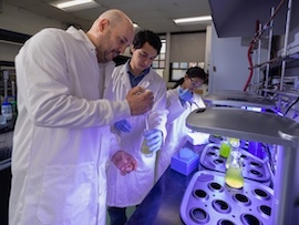 UTEP Researchers Boost Microalgae Biofuel Yields with Nanotechnology