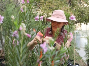 Spruce Up Garden at FloraFest