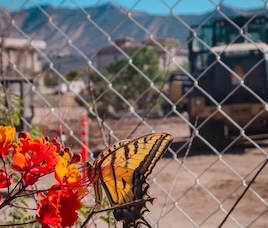 Get Construction Updates at On the Move Website