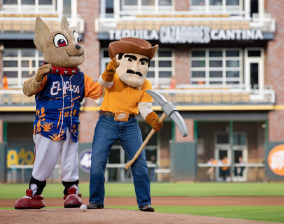 Get Ready for UTEP Night at the Chihuahuas
