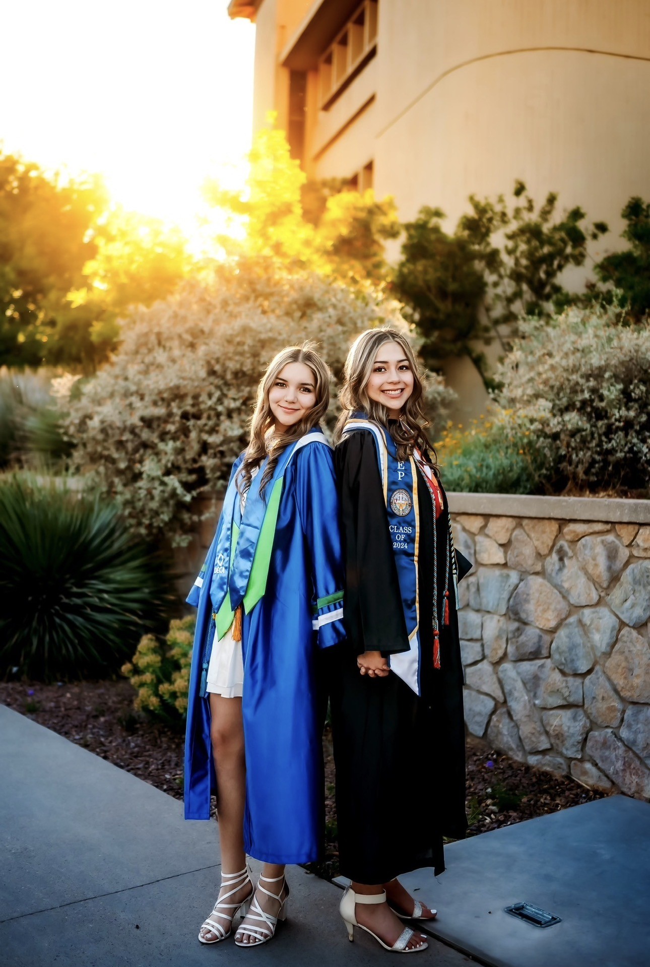 BSN Curriculum Changes.png