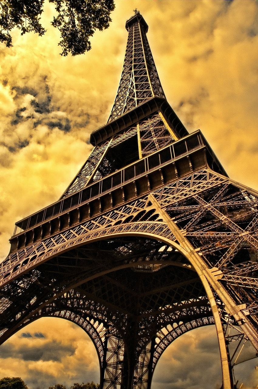 Study Abroad