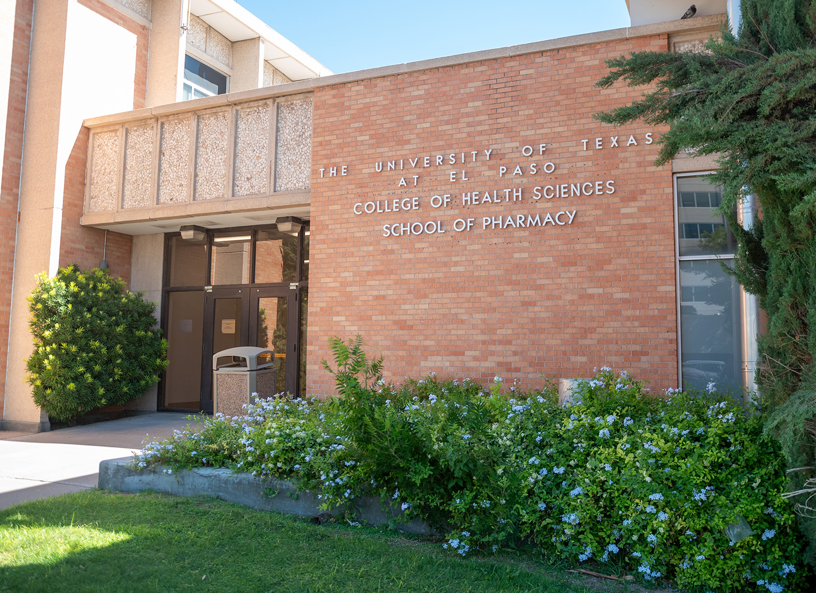School of Pharmacy  