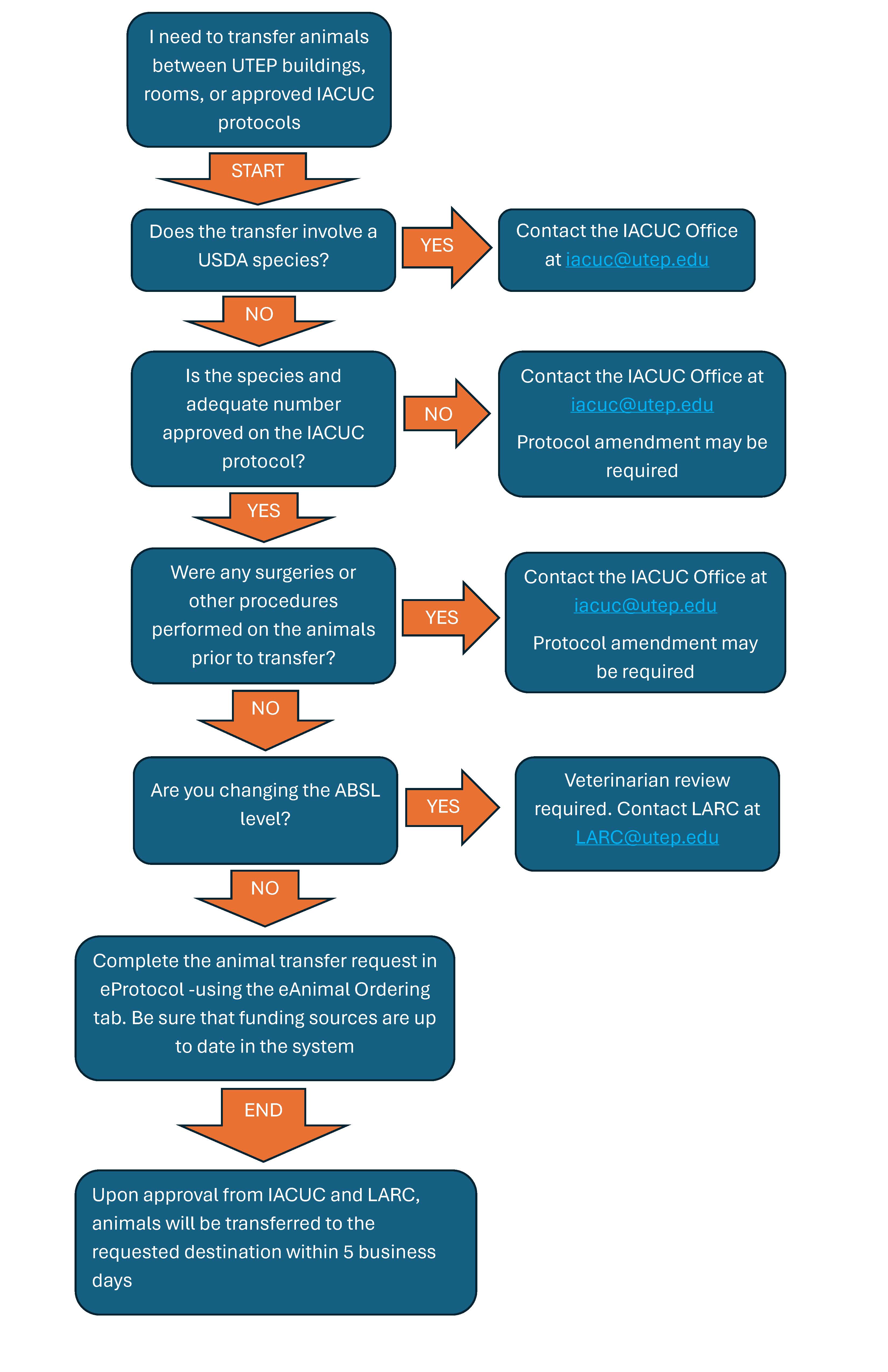 Flowchart for animal transfer procedures at The University of Texas at El Paso. The process begins with transferring animals between UTEP buildings, rooms, or approved IACUC protocols. Decision points ask whether the transfer involves USDA species, whether the species and number are approved on the IACUC protocol, whether surgeries or procedures were performed before transfer, and whether the ABSL level is changing. Depending on responses, users may be directed to contact the Institutional Animal Care and Use Committee office or LARC for review or protocol amendments. If all requirements are met, the process continues through the eProtocol eAnimal Ordering system. The flow ends with animal transfer occurring within 5 business days after approval from IACUC and LARC.