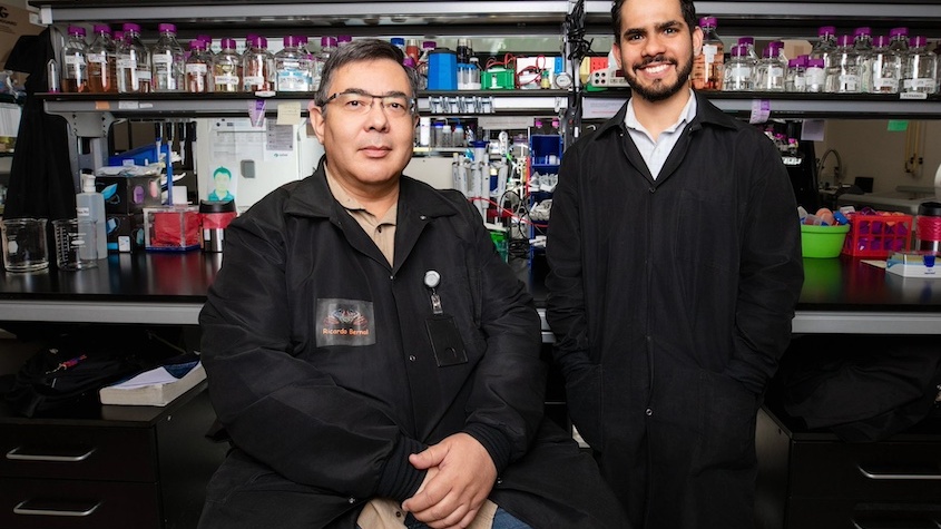 When not hiking or traveling together, husband-and-wife research duo and UTEP professors Emre Umucu, Ph.D. and Beatrice Lee, Ph.D. conduct valuable research on supporting student veterans. Their work received the ARCA Research Award from the American Rehabilitation Counseling Association. 