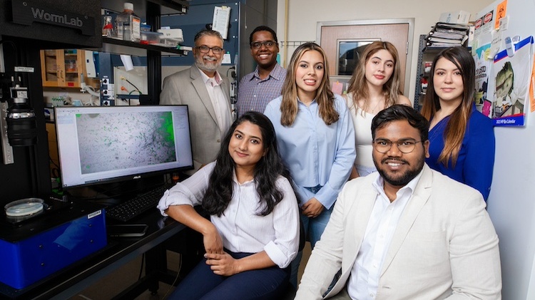 Nanoplastics and ‘Forever Chemicals’ Disrupt Molecular Structures, Functionality 
