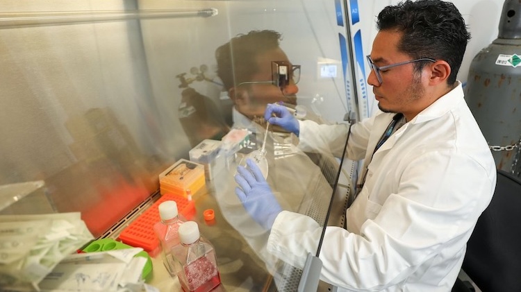UTEP Researcher Finds Potential New Treatment for Aggressive Ovarian Cancer
