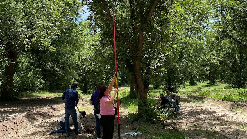 UTEP Awards Six New U.S.-Mexico Collaboration Fellowships