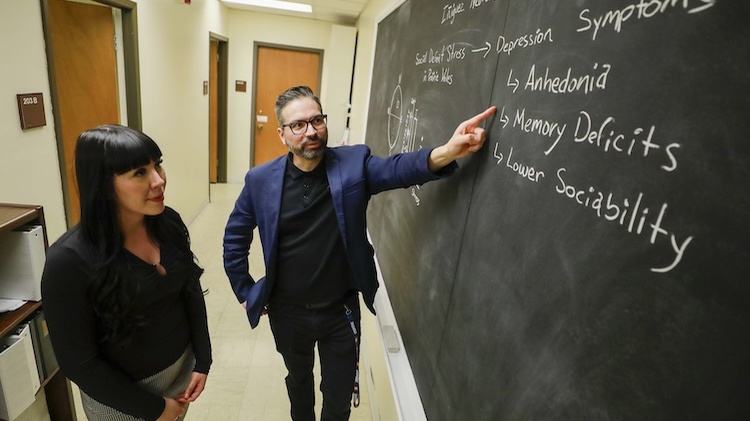 https://www.utep.edu/newsfeed/2025/March/022425_Ruma_Paul_Colorectoral_Cancer_LM6---Medium.jpg
