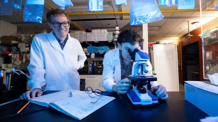 UTEP Study: Propensity to Addiction Starts from First Drug Use Experience