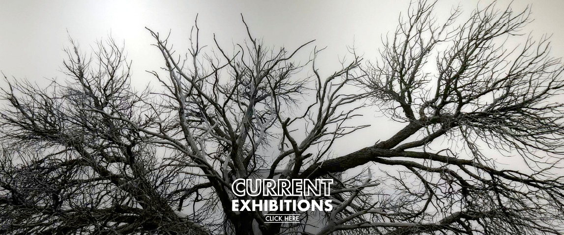 current exhibitions 