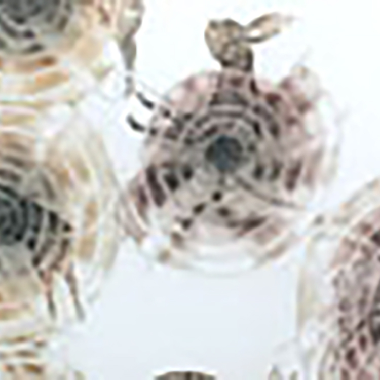 Rabbits with Pinwheels