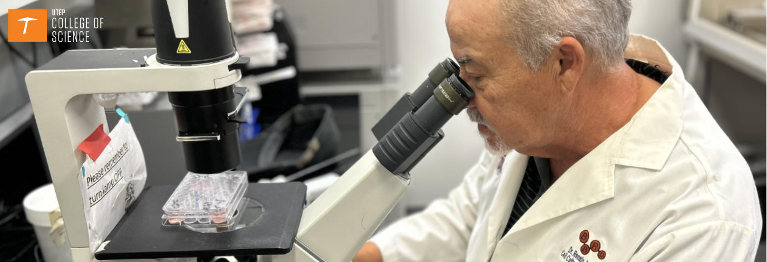 UTEP Researchers Discover Compound that Fights Leukemia, Lymphoma 