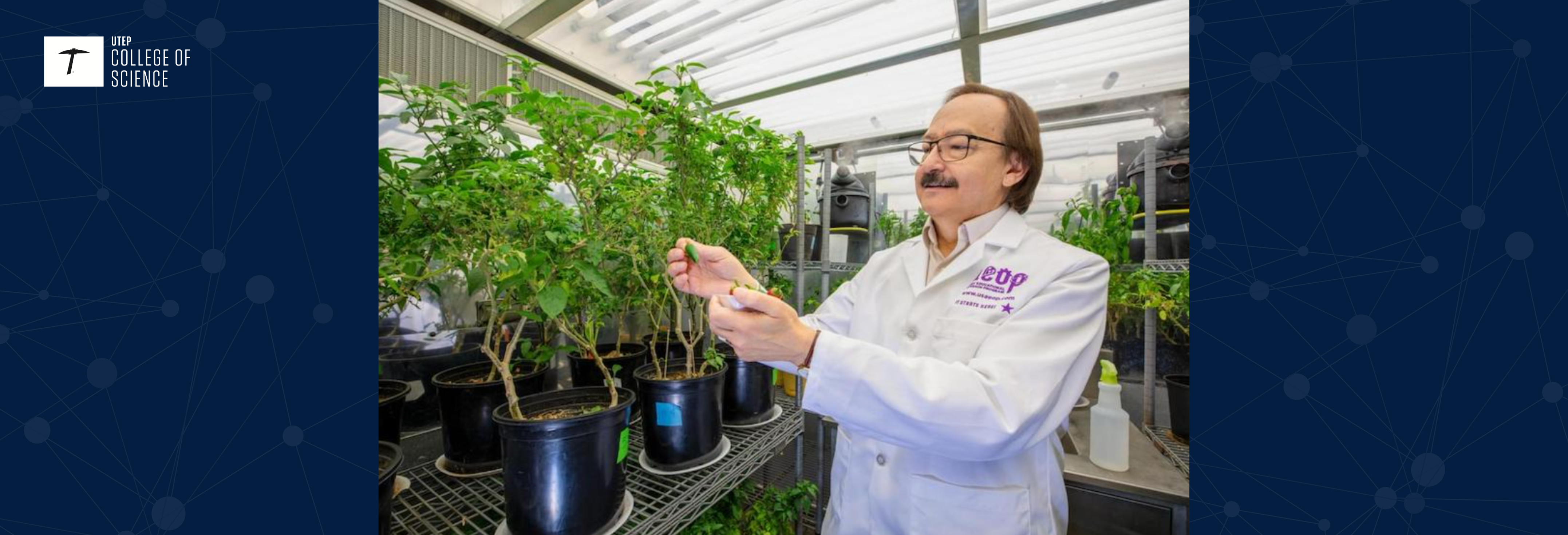 UTEP Leaps into the Future with New X-ray Facility at Cornell 