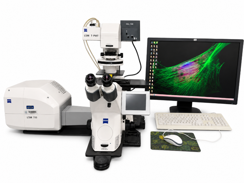 Confocal Microscope (Zeiss LSM 700)