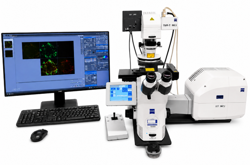 Confocal Microscope (Zeiss LSM 700)