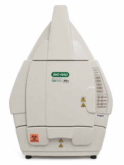 Bio-Rad Gel Doc