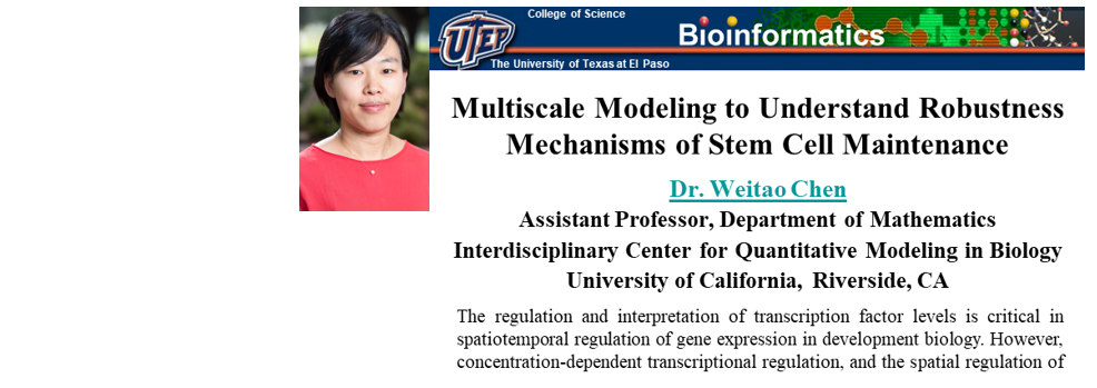 Dr. Chen on Multiscale Modeling for Stem Cells; Friday, 3/24/23, 10 AM 