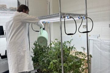 Hirschi Lab 1