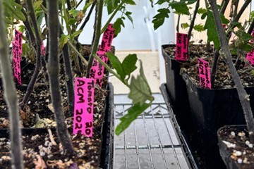 Hirschi Lab 3