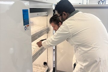 Hirschi Lab 6