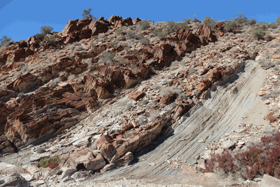 Evey field photo edit