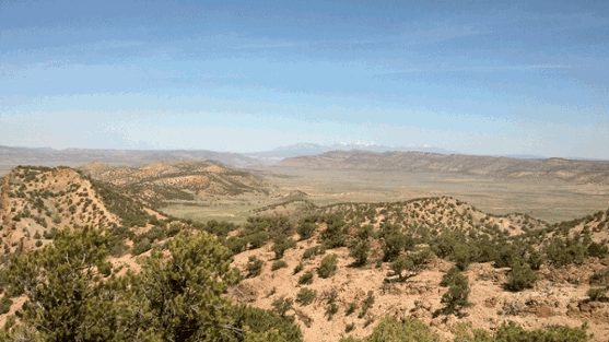 Kevin field area photo