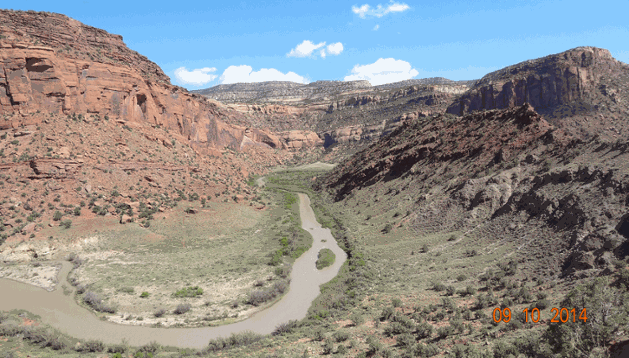 McFarland Chinle Formation on exposed salt shoulder Gypsum Valley Colorado