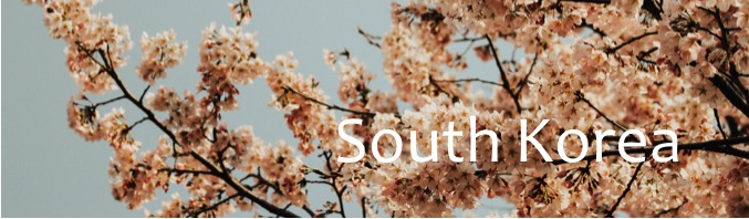 southkoreabanner.jpg