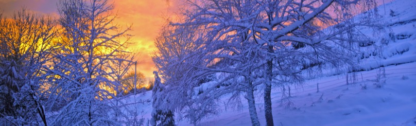 winter_banner.jpg
