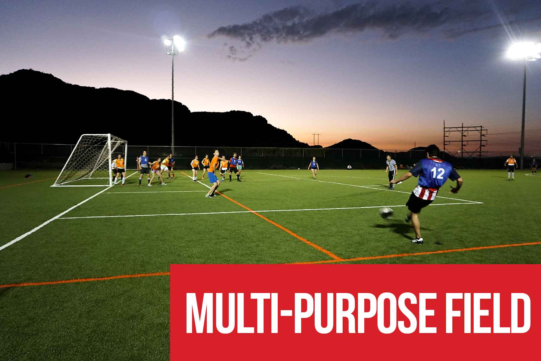 Multi-Purpose Field