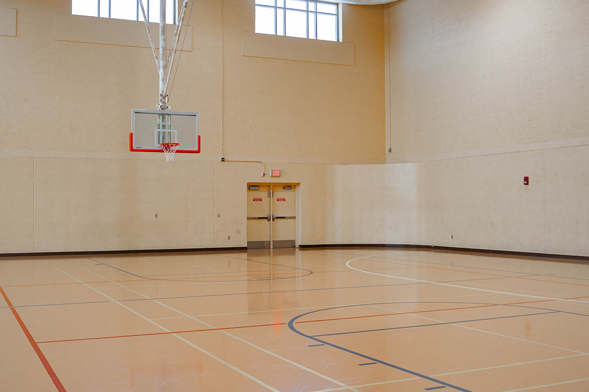 Multi-Activity Courts